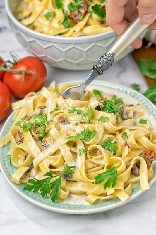 Fork lifting the pasta from a plate.