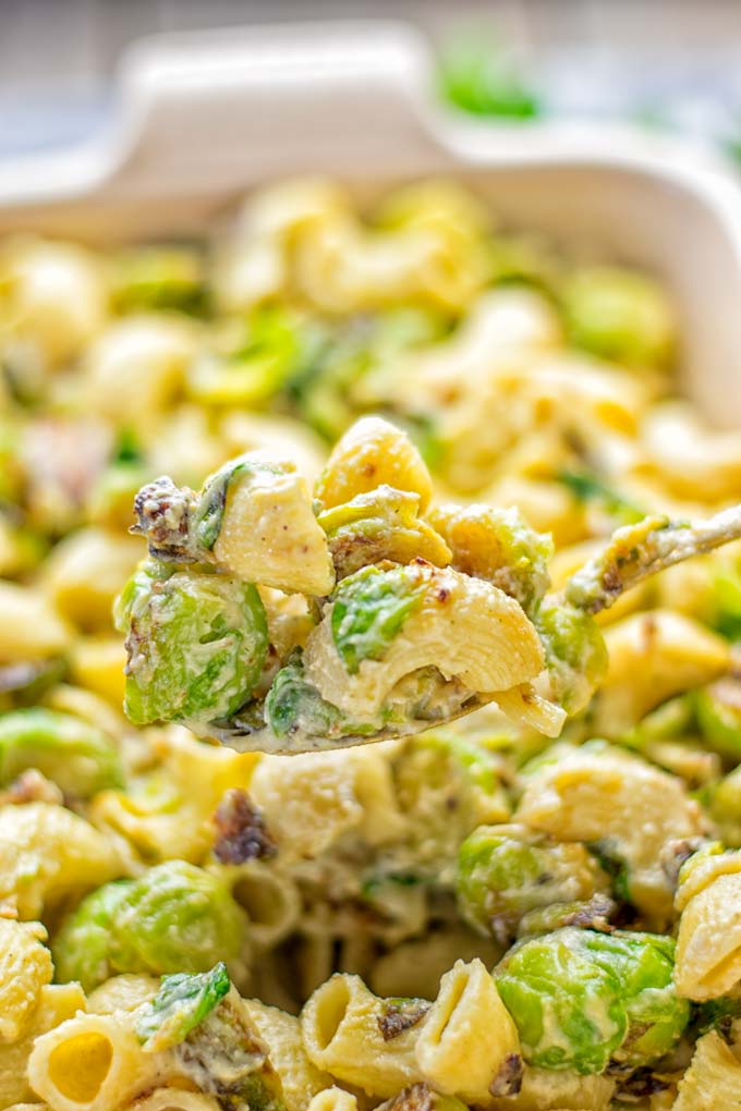 This Garlic Brussels Sprouts Mac and Cheese is entirely vegan, gluten free, and super easy to make. It’s an amazing comfort food for dinner, lunch, meal prep, work lunches, date nights and of course the holidays. Everyone will get addicted to this from the first to the last bite, try it now! #vegan #glutenfree #dairyfree #vegetarian #mealprep #dinner #lunch #worklunchideas #holidays #macandcheese #contentednesscooking #pasta #thanksgiving 