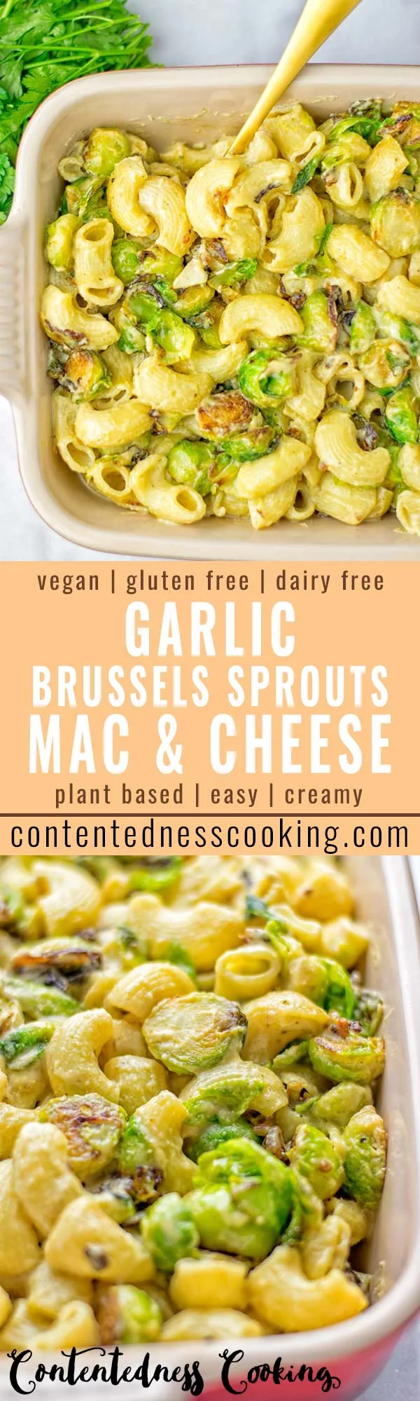 This Garlic Brussels Sprouts Mac and Cheese is entirely vegan, gluten free, and super easy to make. It’s an amazing comfort food for dinner, lunch, meal prep, work lunches, date nights and of course the holidays. Everyone will get addicted to this from the first to the last bite, try it now! #vegan #glutenfree #dairyfree #vegetarian #mealprep #dinner #lunch #worklunchideas #holidays #macandcheese #contentednesscooking #pasta #thanksgiving 