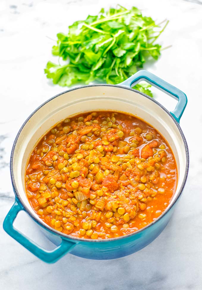 Amazingly tasty Moroccan Spiced Lentils super easy to make in one pot and packed with fantastic flavors. A super easy idea for lunch, dinner, meal prep and work lunch. Enjoy them plain, or over rice, so yummy! Try it now and you know what I’m taking about! #vegan #glutenfree #dairyfree #vegetarian #onepotmeals #lentils #moroccan #lunch #dinner #mealprep #worklunchideas #contentednesscooking #easyfood