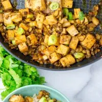 Mapo Tofu top view on the filled pan and the bowl.