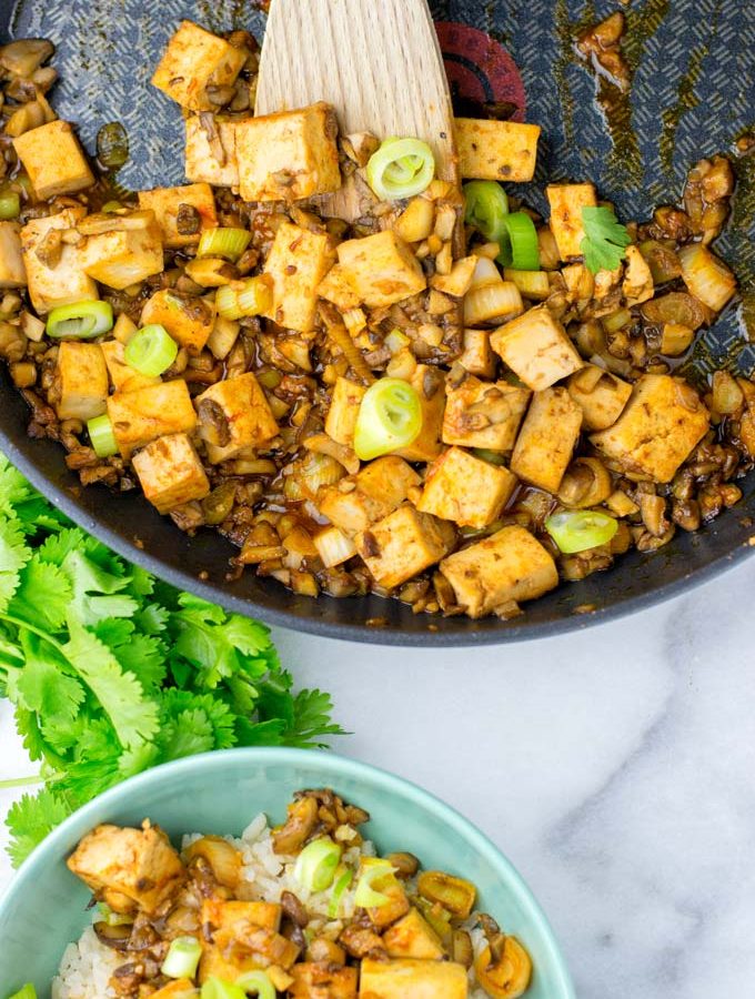 Mapo Tofu top view on the filled pan and the bowl.