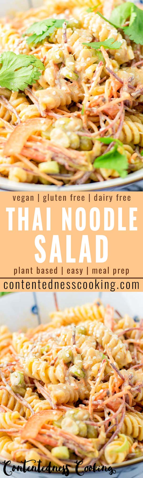 Filling and satisfying: This Thai Noodle Salad is covered in the most delicious Thai peanut sauce you’ve ever made and tasted. A keeper that tastes so delicious for dinner, lunch, meal prep and is so easy to make that the whole family will love, even the pickiest kids. #vegan #dairyfree #glutenfree #vegetarian #thainoodlesalad #peanutsauce #dinner #lunch #mealprep #comfortfood #worklunchideas #budgetmeals #contentednesscooking #comfortfood #familymeals