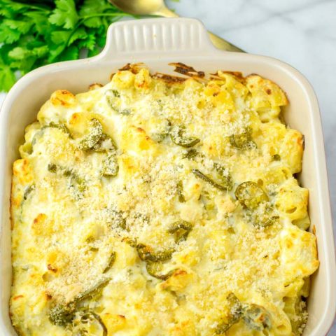 Creamy and crunchy at the same time thanks to the Jalapeno Popper Dip as main ingredient.