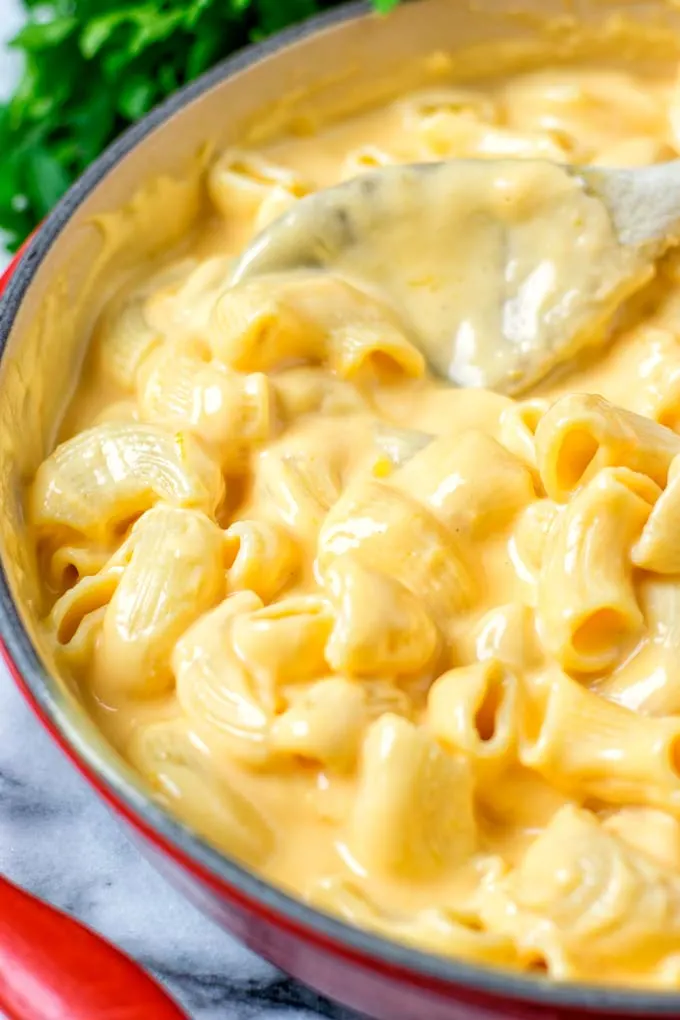 Closeup view showing the pasta soaked in creamy sauce.