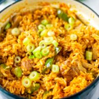 Closeup view of the Jambalaya Rice showing the rice, vegan meat, and fresh scallions.