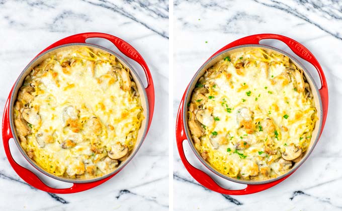 Top view on the Tetrazzini in a casserole dish after baking. 