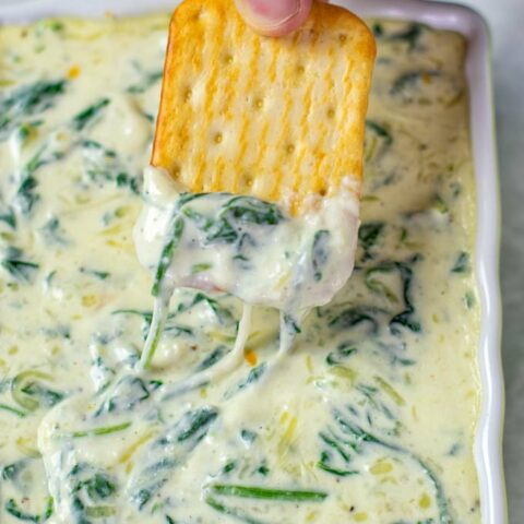 Closeup of a cracker with Spinach Dip.