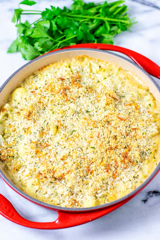 The baked Cauliflower Gratin in a large casserole dish. 