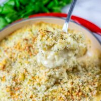 Lifting a big spoon of the Cauliflower Gratin out of the dish.