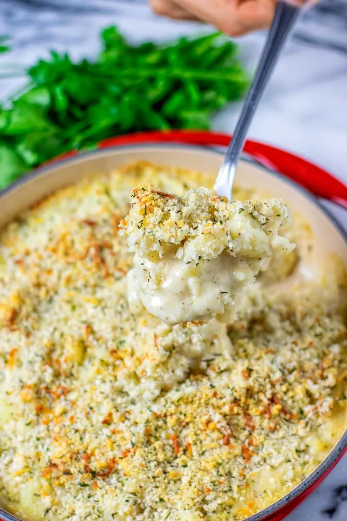 Lifting a big spoon of the Cauliflower Gratin out of the dish.