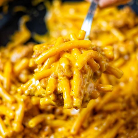 Closeup of a spoon with the Hamburger Helper.