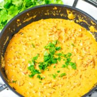 View on the ready Rotel Dip with fresh cilantro garnish.