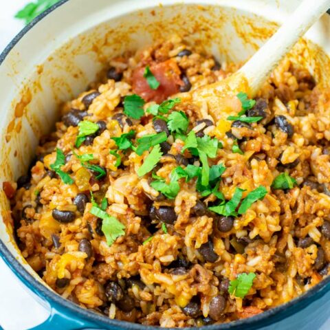 https://www.contentednesscooking.com/wp-content/uploads/2021/03/Taco-Rice-9-480x480.jpg