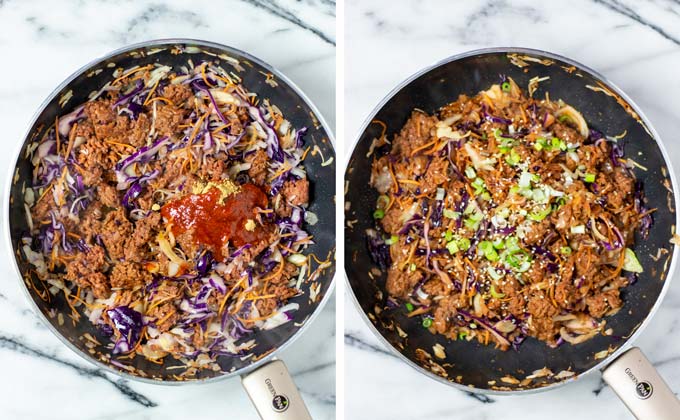 Spices are added to the vegan ground beef and coleslaw mixture.