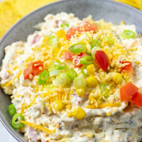 Fiesta Ranch Dip [copycat, vegan] - Contentedness Cooking