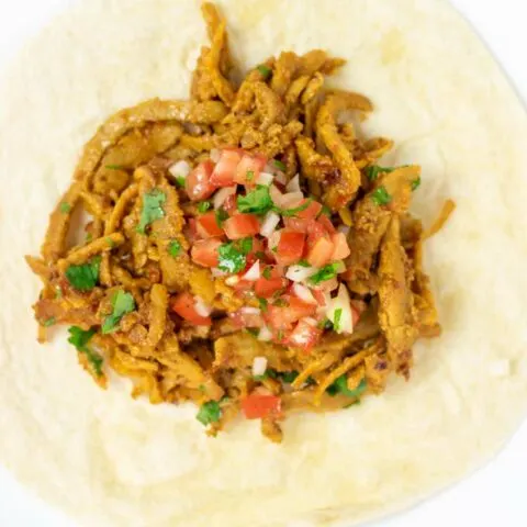 Closeup on the salsa topped Barbacoa.