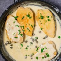 Top view of the ready Chicken Piccata. Four vegan chicken breasts in creamy sauce, garnished with parsley.