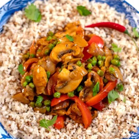 Closeup on Mushroom Curry served with wild rice.