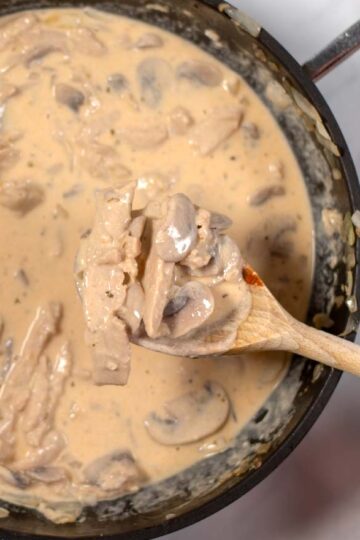 A spoonful of Chicken Crema.