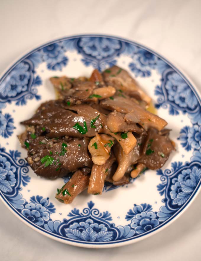 Closeup on Oyster Mushrooms