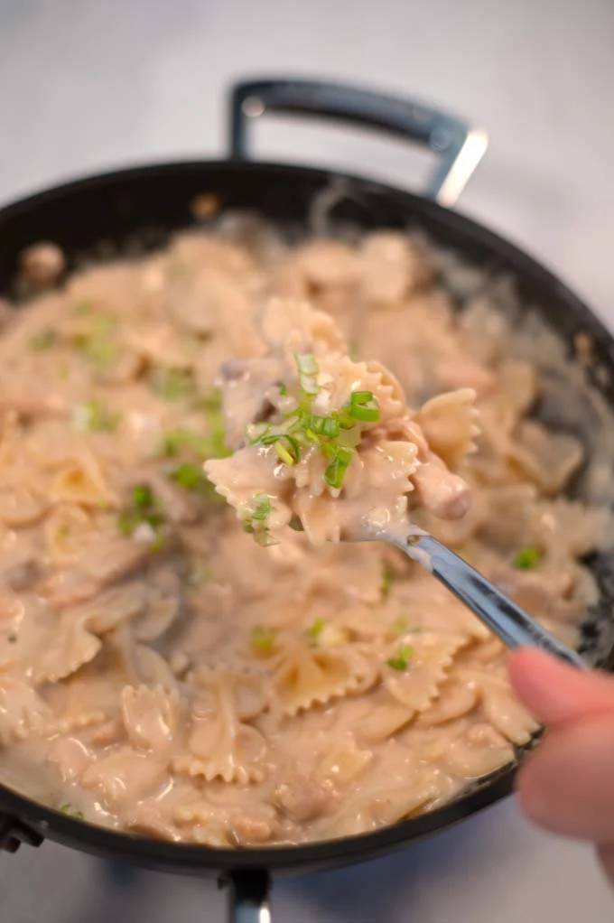 Closeup view on a spoon of Cream of Chicken with Pasta.