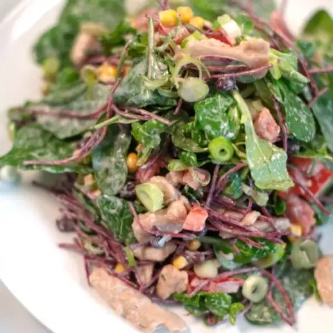 Closeup of Southwest Chicken Salad.