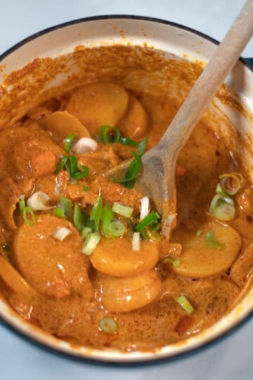 Closeup of the ready pot of Vietnamese Curry garnished with scallions.