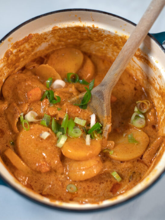 Closeup of the ready pot of Vietnamese Curry garnished with scallions.