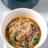 Closeup of a serving of Potsticker Soup.