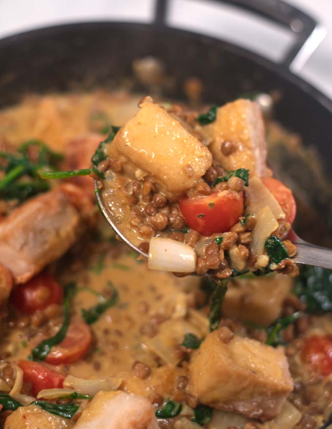 A full ladle with Tofu Curry.