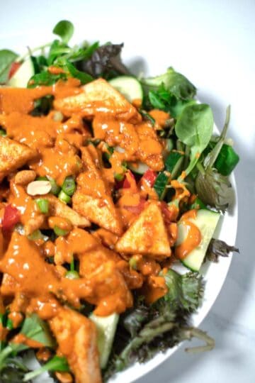 Closup on Tofu Salad with Peanut-Lime Dressing.