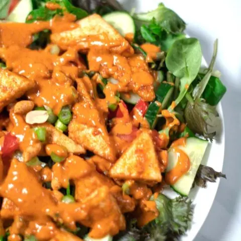 Closup on Tofu Salad with Peanut-Lime Dressing.