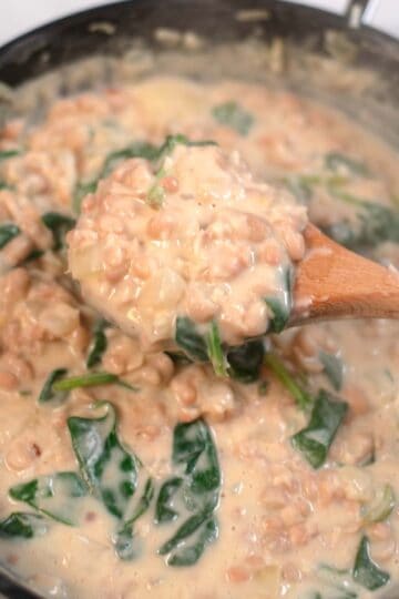 A spoon lifts Beans and Greens from a pan.