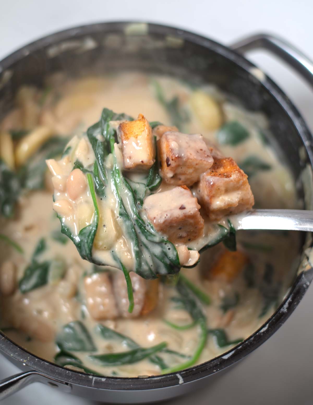 A large spoon lifts Million Dollar Soup from the pot.