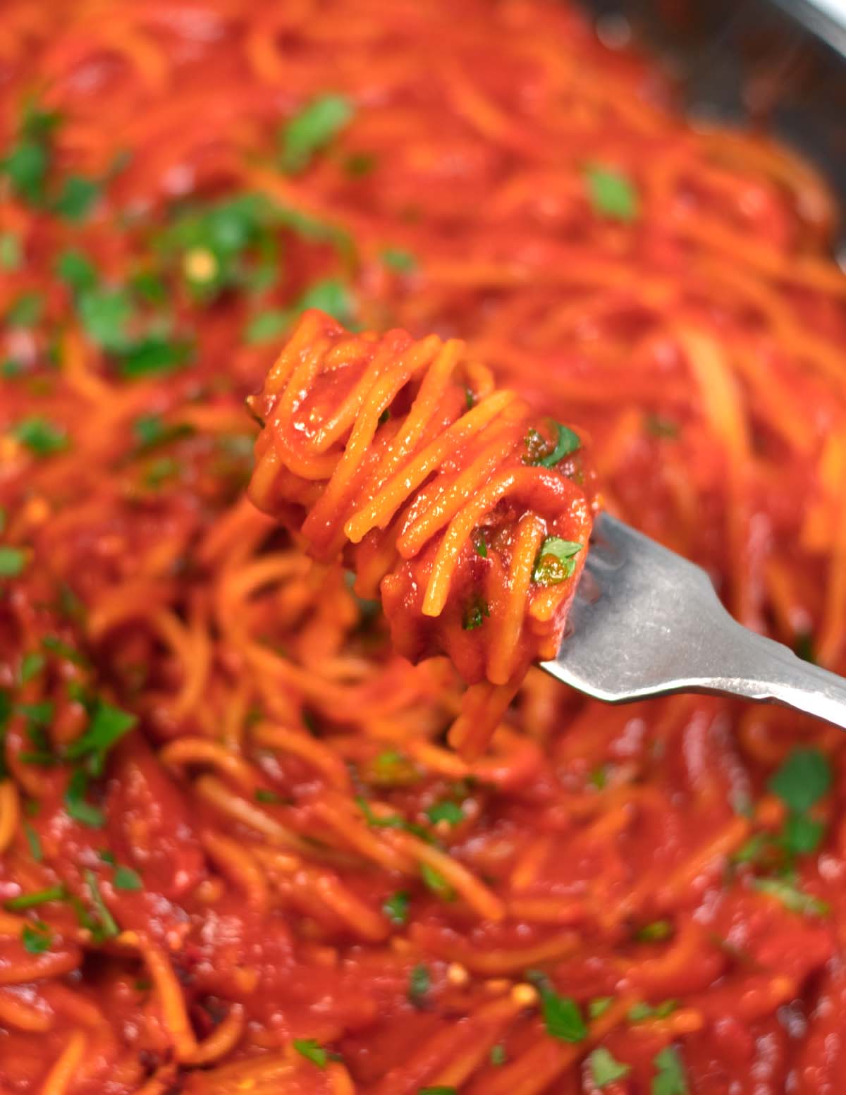 Closeup of a fork full with Spaghetti All'Assassina.