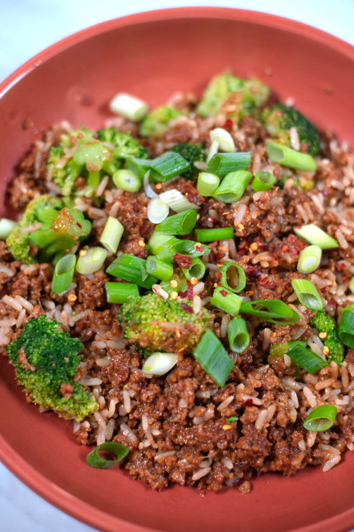 Large plate with Teriyaki Bowl.