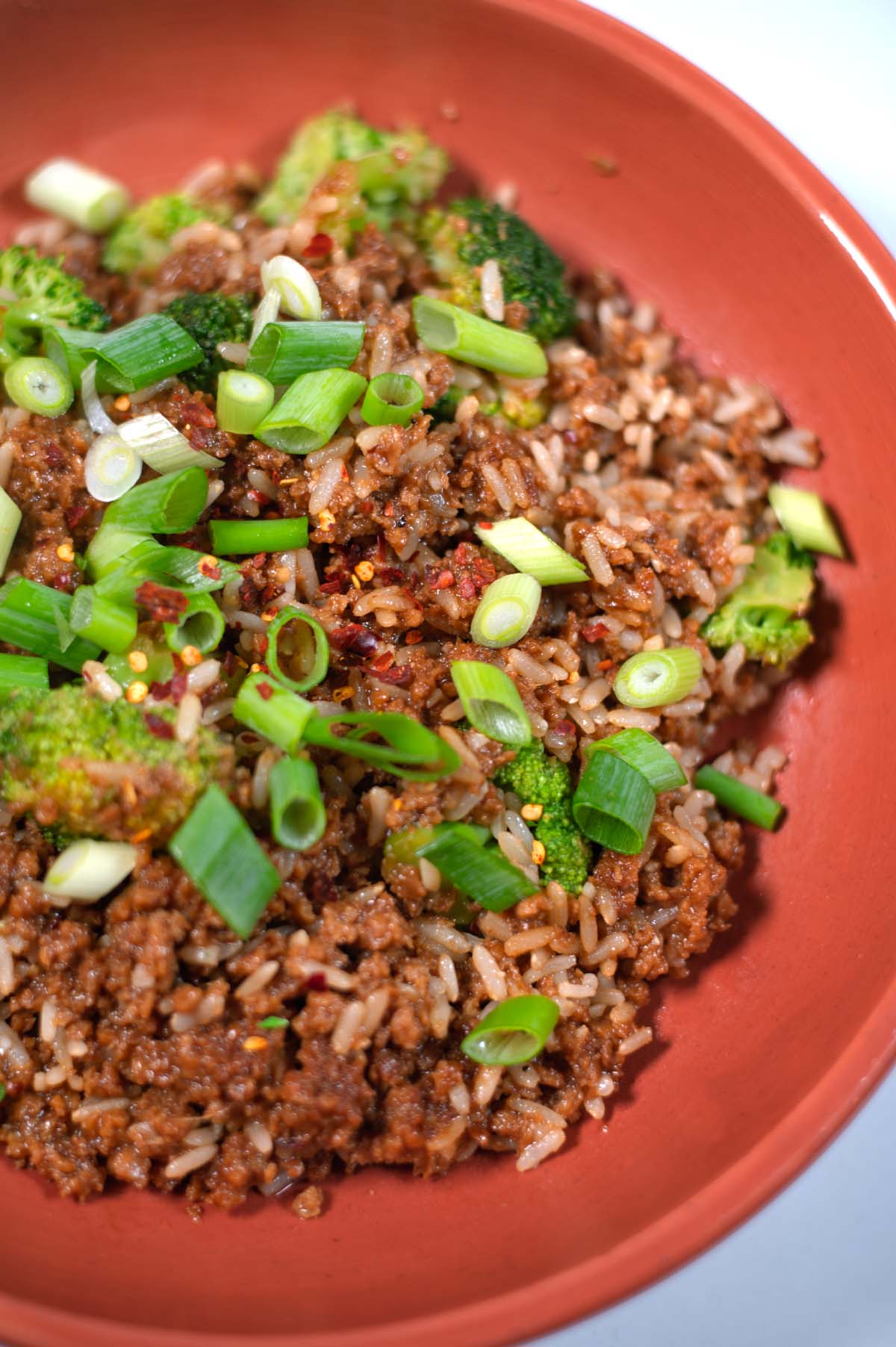 Closeup of Teriyaki Bowl.