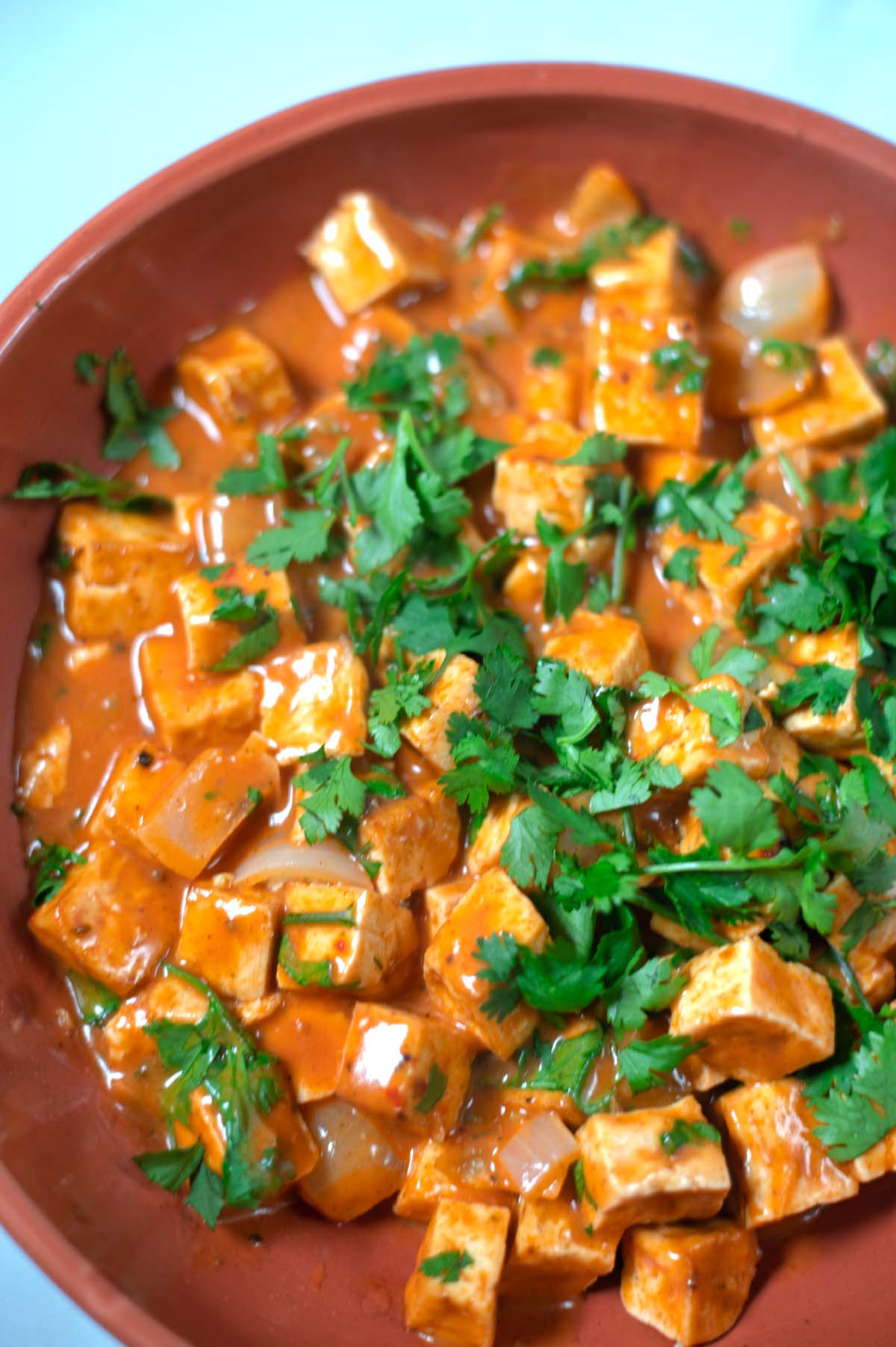Closeup of a serving of Tofy Tikka Masala.