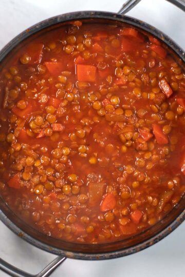 Greek Lentil Soup after adding vegetable broth.