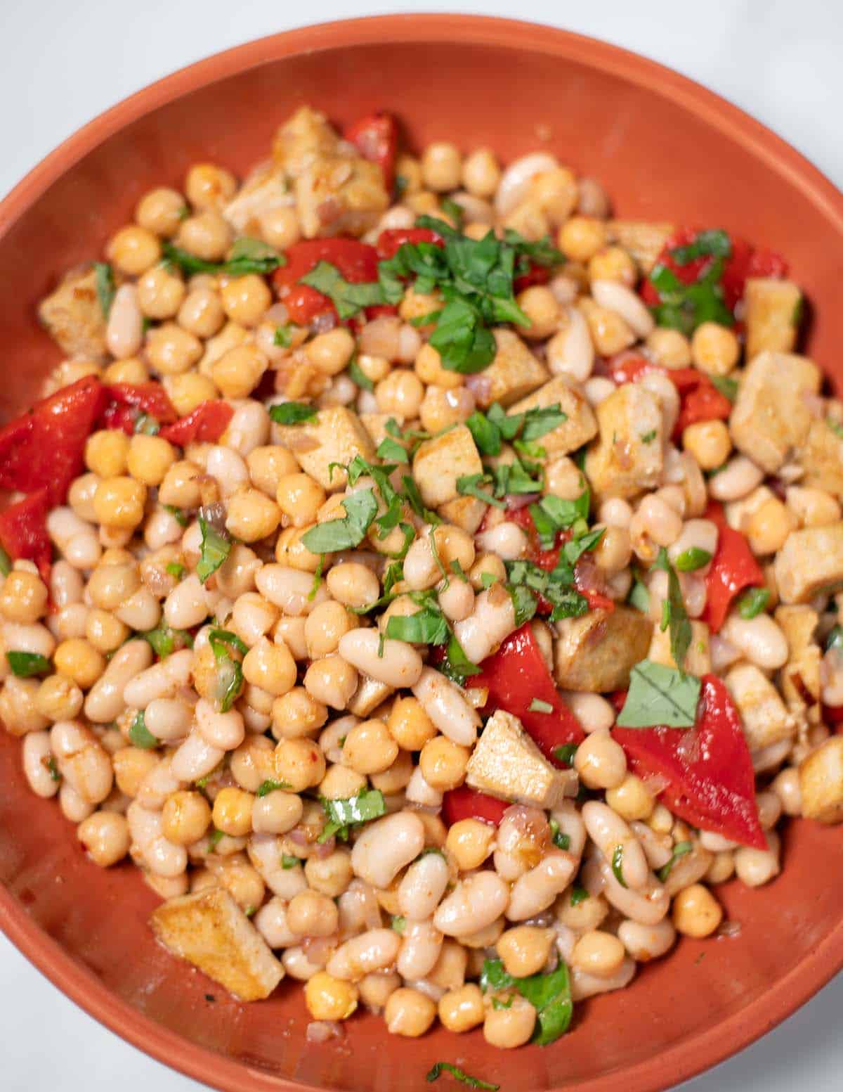 Closeup on Vegan Grinder Salad.