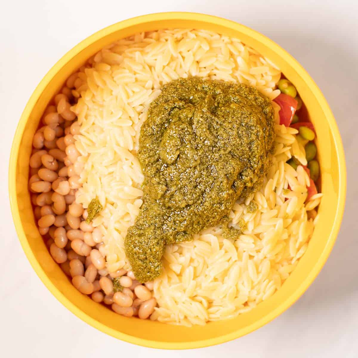 Vegan pesto is given on top of the orzo.