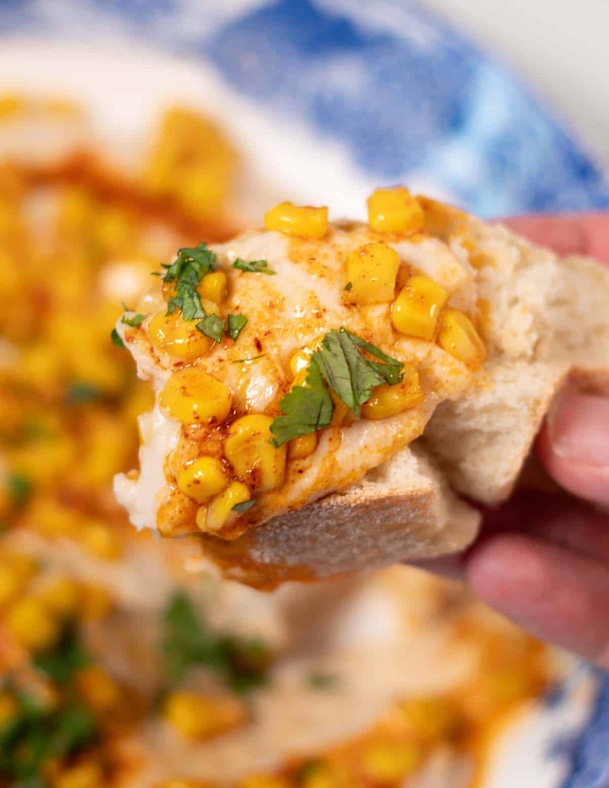 Closeup on bread with dip.