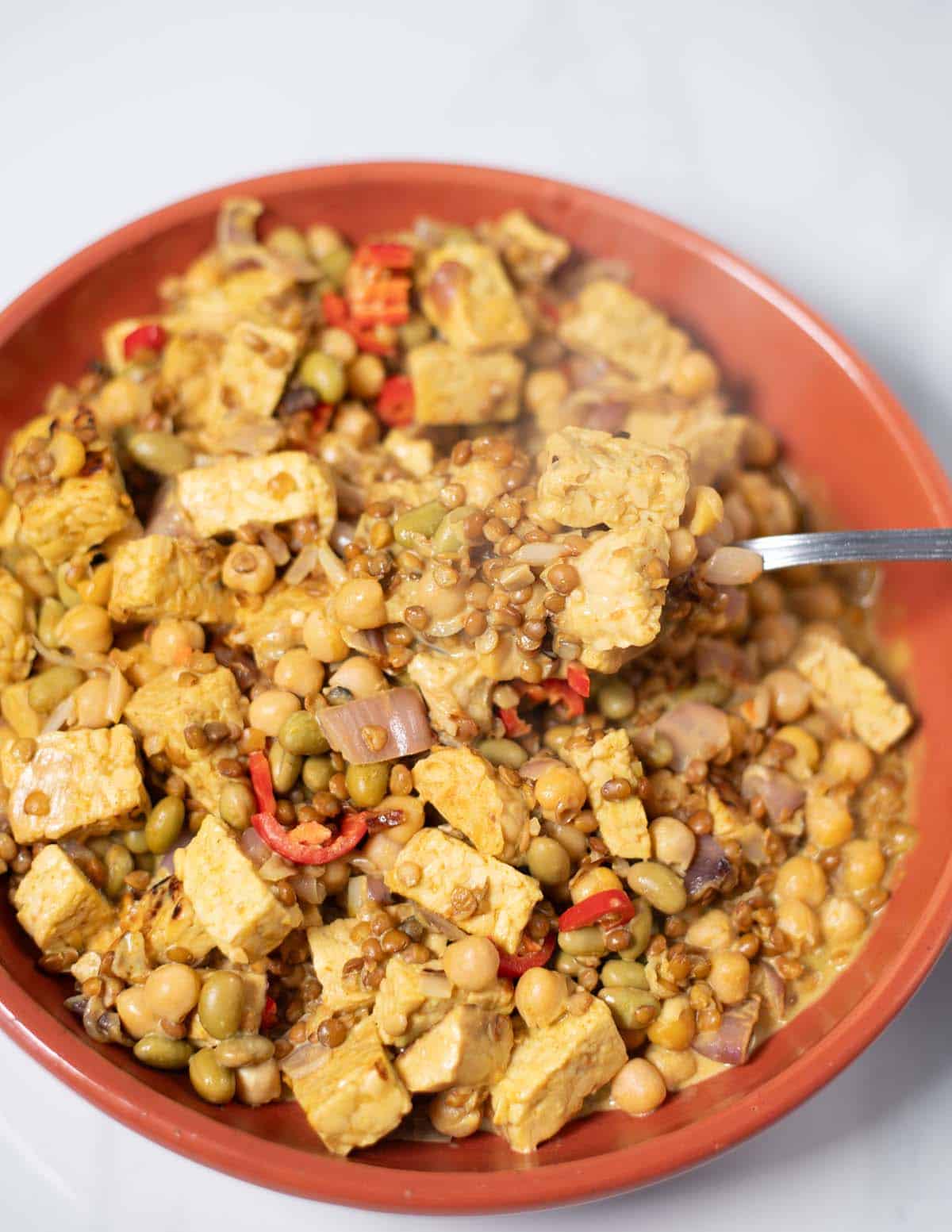 Closeup of High Protein Lentils with a spoon.