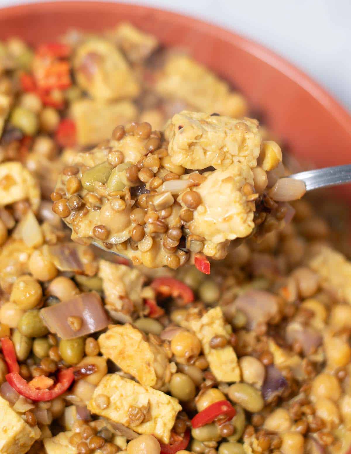 A spoon lifts High Protein Lentils from a bowl.